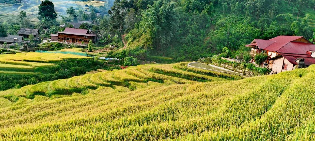 Madame View Homestay Sapa Eksteriør billede